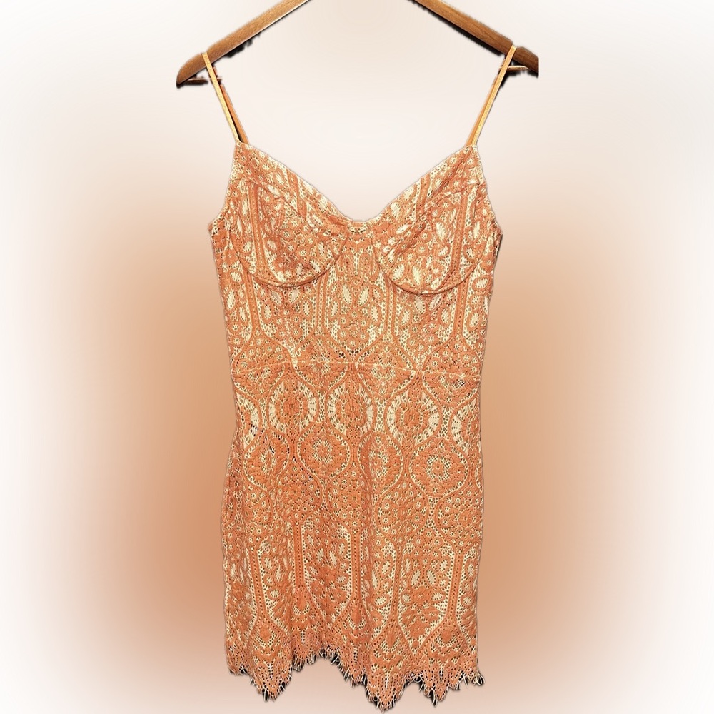EXPRESS Lace Bustier Style Bodicon Dress